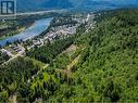 1402 Woodland  Drive, Castlegar, BC 