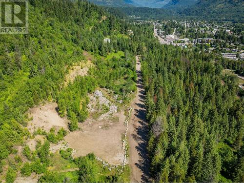 1402 Woodland  Drive, Castlegar, BC 