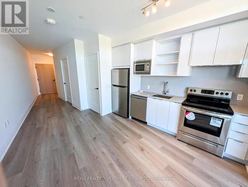 218 - 60 George Butchart Drive N, Toronto (Downsview-Roding-Cfb), ON - Indoor Photo Showing Kitchen