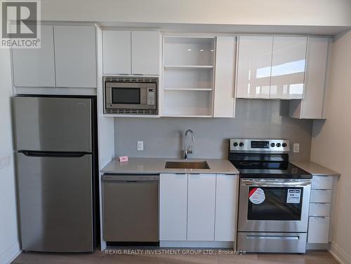 218 - 60 George Butchart Drive N, Toronto (Downsview-Roding-Cfb), ON - Indoor Photo Showing Kitchen