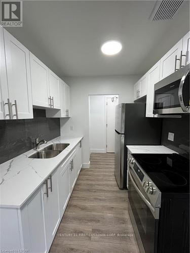 17 - 20 Craig Street, London, ON - Indoor Photo Showing Kitchen With Double Sink