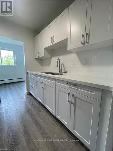 17 - 20 Craig Street, London, ON - Indoor Photo Showing Kitchen With Double Sink