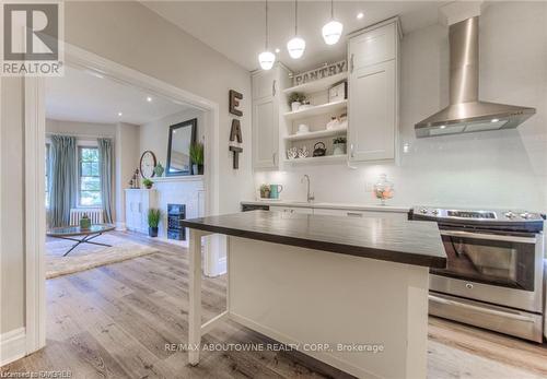 133 Markland Street, Hamilton (Durand), ON - Indoor Photo Showing Kitchen With Upgraded Kitchen