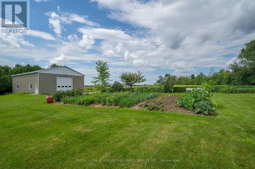 1407 Tracey'S Hill Road, Kawartha Lakes, ON - Outdoor