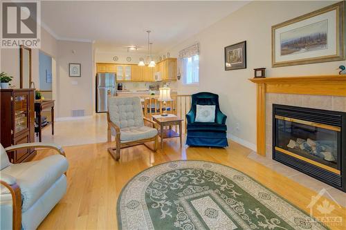 351 Emerald Street, Kingston, ON - Indoor Photo Showing Living Room With Fireplace