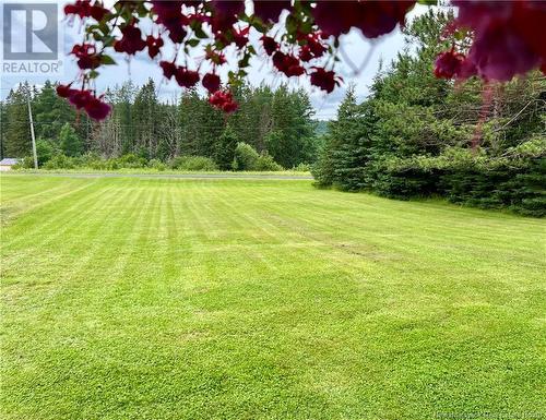 3298 Rte 385, Riley Brook, NB - Outdoor