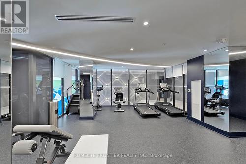 220 - 185 Deerfield Road, Newmarket (Central Newmarket), ON - Indoor Photo Showing Gym Room