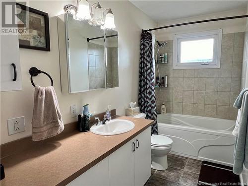 668 4Th Avenue, Grand Falls, NB - Indoor Photo Showing Bathroom