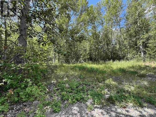 Lot 6 Bettcher Street, Quesnel, BC 