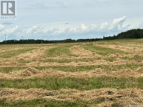 Pelly Farm, Livingston Rm No. 331, SK 