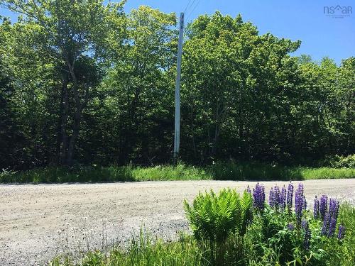 Red Head Road, Atlantic, NS 