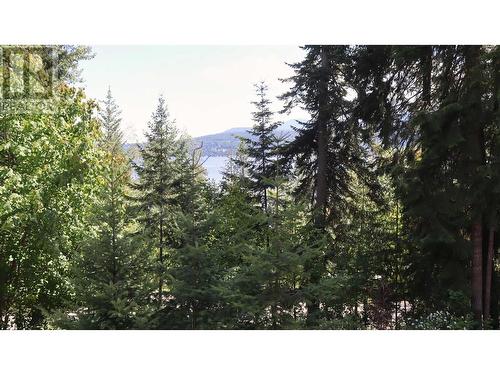 4351 Copper Cove Road Unit# 30, Scotch Creek, BC - Outdoor With View