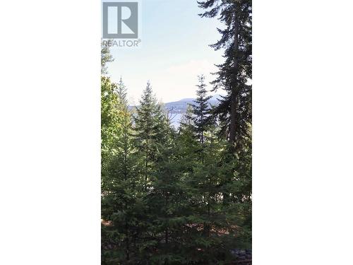 4351 Copper Cove Road Unit# 30, Scotch Creek, BC -  With View