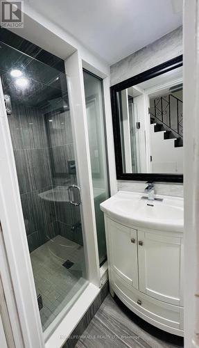 213 Snug Harbour Road, Kawartha Lakes, ON - Indoor Photo Showing Bathroom