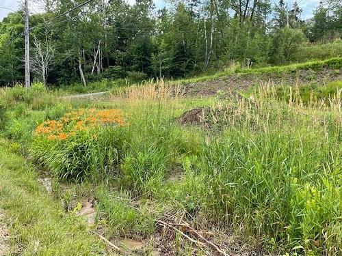 Lot 23-4 Highway 376, Lyons Brook, NS 