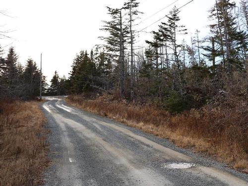 26431 Highway 7, Sheet Harbour, NS 