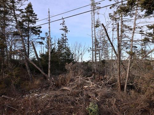 26431 Highway 7, Sheet Harbour, NS 