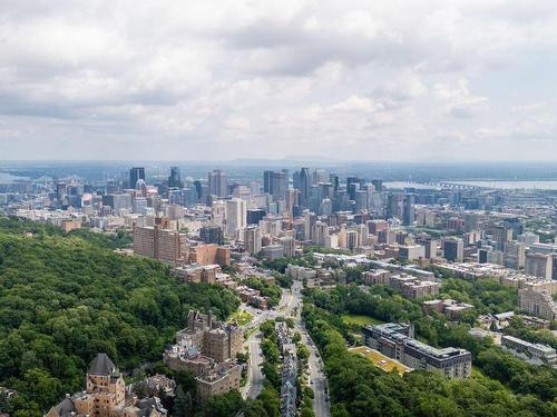 Aerial photo - 3075 Av. De Trafalgar, Montréal (Ville-Marie), QC - Outdoor With View