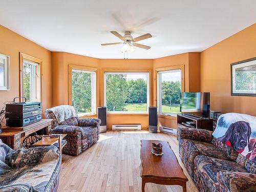 Salon - 1260 Ch. De Magoon Point, Stanstead - Canton, QC - Indoor Photo Showing Living Room