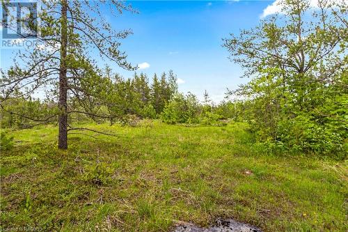 Nice clearings - 17 Dyers Bay Road, Northern Bruce Peninsula, ON 