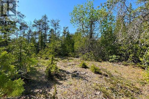 Lots to explore! - 17 Dyers Bay Road, Northern Bruce Peninsula, ON 