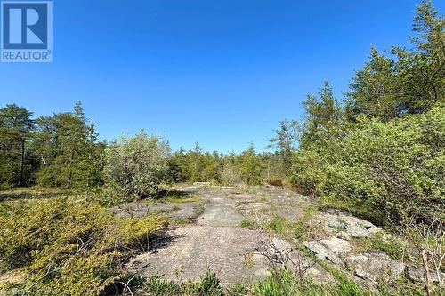 Old foundation on property - 17 Dyers Bay Road, Northern Bruce Peninsula, ON 