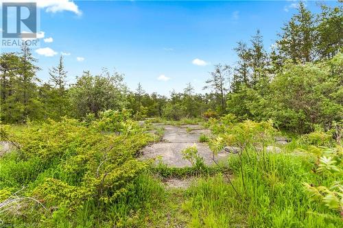 17 Dyers Bay Road, Northern Bruce Peninsula, ON 