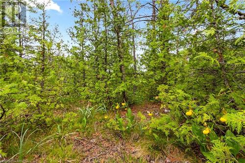 17 Dyers Bay Road, Northern Bruce Peninsula, ON 