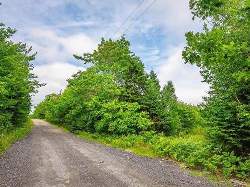 Lot Hamilton Road, Pleasant Valley, NS 