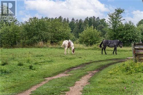 21 Station Street, Amaranth, ON - Outdoor With View