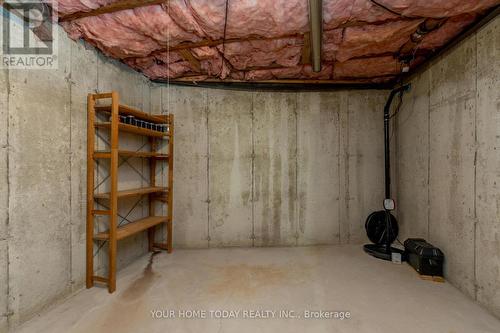 8906 Wellington Road 50, Erin, ON - Indoor Photo Showing Basement