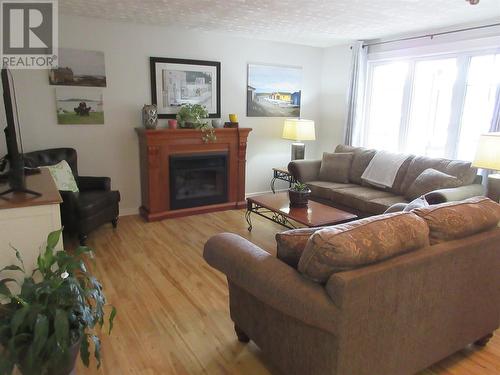 2 Newfoundland Way, Bishop'S Falls, NL - Indoor Photo Showing Living Room With Fireplace