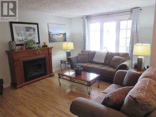 2 Newfoundland Way, Bishop'S Falls, NL - Indoor Photo Showing Living Room With Fireplace