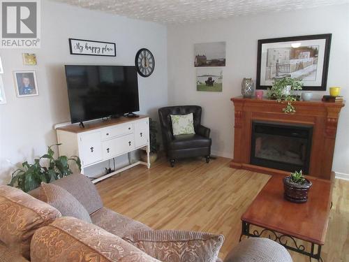 2 Newfoundland Way, Bishop'S Falls, NL - Indoor Photo Showing Living Room With Fireplace