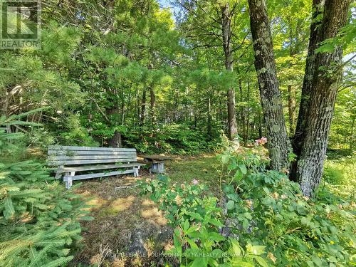 91 Healey Lake Water/A, The Archipelago, ON - Outdoor