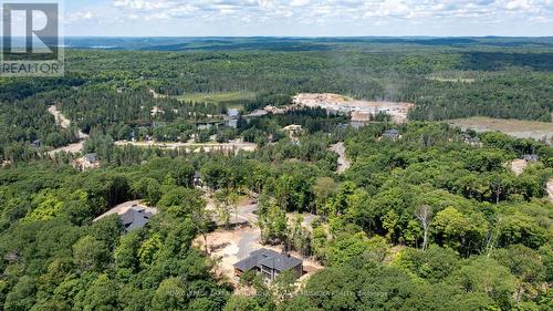 1008 Kingsridge Court, Lake Of Bays, ON - Outdoor With View