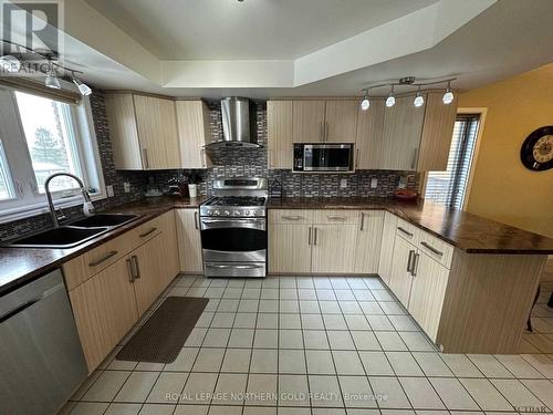 17 Furlong St, Kirkland Lake, ON - Indoor Photo Showing Kitchen With Double Sink