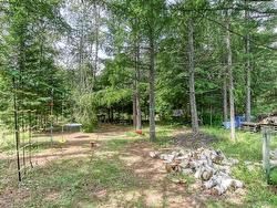 Wooded area - 