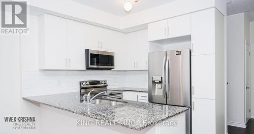 17 - 78 Preston Meadow Avenue, Mississauga (Hurontario), ON - Indoor Photo Showing Kitchen With Double Sink With Upgraded Kitchen