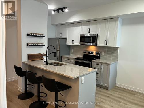 204 - 550 North Service Road, Grimsby, ON - Indoor Photo Showing Kitchen With Double Sink