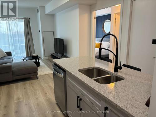 204 - 550 North Service Road, Grimsby, ON - Indoor Photo Showing Kitchen With Double Sink