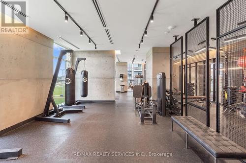 115 - 251 Manitoba Street, Toronto (Mimico), ON - Indoor Photo Showing Gym Room