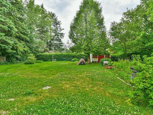 Backyard - 50 Av. Carmen, Saint-Sauveur, QC - Outdoor