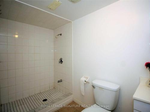 Lower-3443 Queenston Dr, Mississauga, ON - Indoor Photo Showing Bathroom