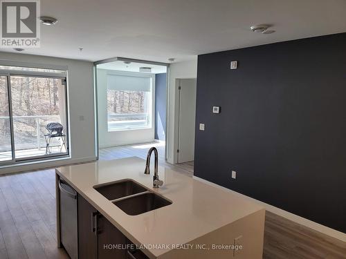 210 - 455 Charlton Avenue E, Hamilton (Stinson), ON - Indoor Photo Showing Kitchen With Double Sink