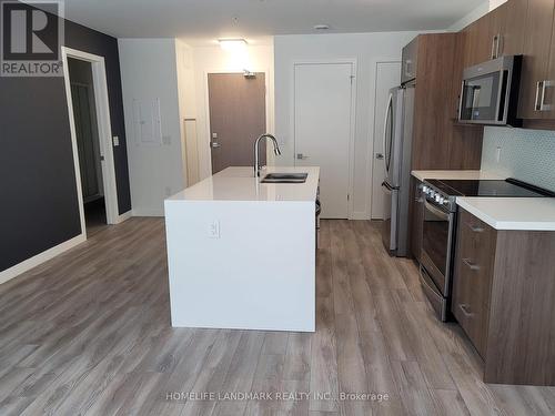 210 - 455 Charlton Avenue E, Hamilton (Stinson), ON - Indoor Photo Showing Kitchen With Double Sink