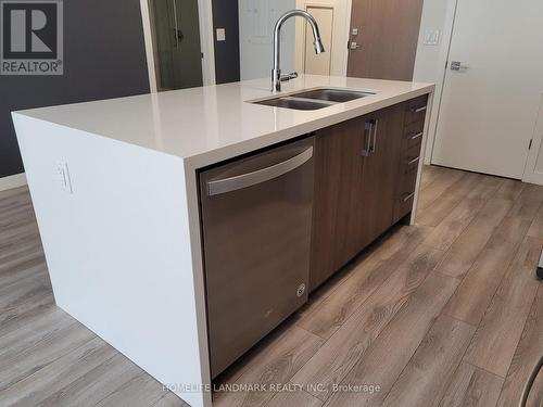 210 - 455 Charlton Avenue E, Hamilton (Stinson), ON - Indoor Photo Showing Kitchen With Double Sink