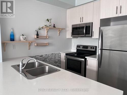 326 - 101 Shoreview Place, Hamilton (Stoney Creek), ON - Indoor Photo Showing Kitchen With Stainless Steel Kitchen With Double Sink