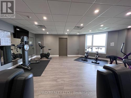 326 - 101 Shoreview Place, Hamilton (Stoney Creek), ON - Indoor Photo Showing Gym Room