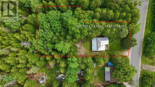 Double deep lot, perfect for trails and treehouses! - 615 Stokes Bay Rd, North Bruce Peninsula, ON - Outdoor